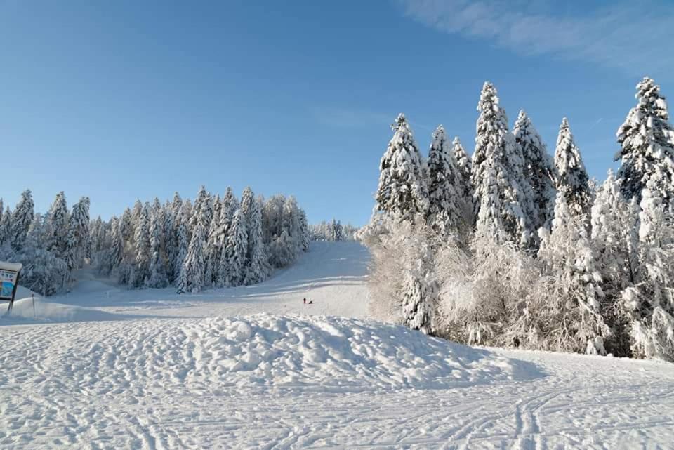 Apartmán Le Petit Vosgien Gérardmer Exteriér fotografie